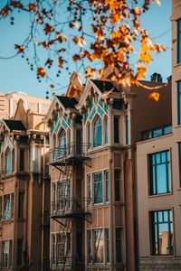 Preview wallpaper building, architecture, facade, tree, leaves