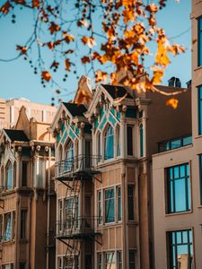 Preview wallpaper building, architecture, facade, tree, leaves