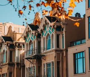 Preview wallpaper building, architecture, facade, tree, leaves