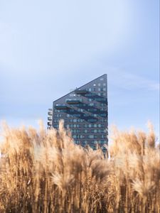 Preview wallpaper building, architecture, field, ears, bottom view