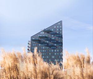 Preview wallpaper building, architecture, field, ears, bottom view