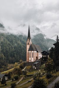 Preview wallpaper building, architecture, forest, trees, tower, fog
