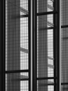 Preview wallpaper building, architecture, glass, mesh, black and white