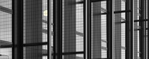 Preview wallpaper building, architecture, glass, mesh, black and white