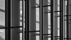 Preview wallpaper building, architecture, glass, mesh, black and white