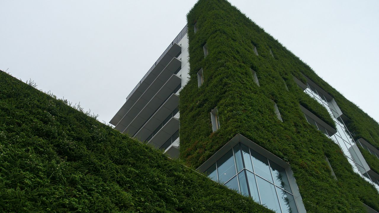 Wallpaper building, architecture, ivy, greenery