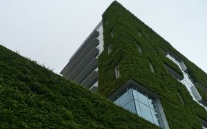 Preview wallpaper building, architecture, ivy, greenery