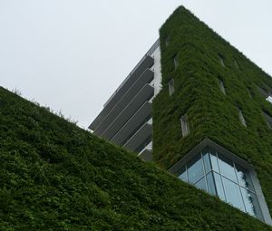 Preview wallpaper building, architecture, ivy, greenery