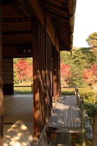 Preview wallpaper building, architecture, nature, japan