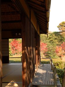 Preview wallpaper building, architecture, nature, japan