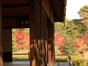 Preview wallpaper building, architecture, nature, japan