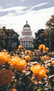 Preview wallpaper building, architecture, palace, dome, trees, flowers