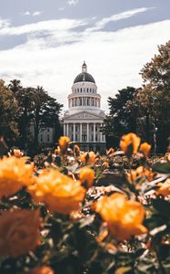 Preview wallpaper building, architecture, palace, dome, trees, flowers