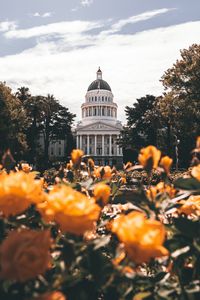 Preview wallpaper building, architecture, palace, dome, trees, flowers