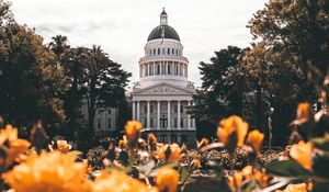 Preview wallpaper building, architecture, palace, dome, trees, flowers