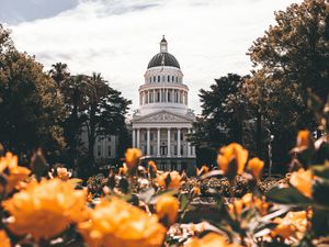 Preview wallpaper building, architecture, palace, dome, trees, flowers