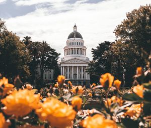 Preview wallpaper building, architecture, palace, dome, trees, flowers