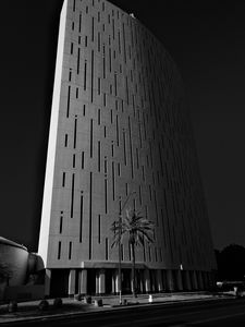 Preview wallpaper building, architecture, palm tree, road, black and white