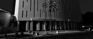 Preview wallpaper building, architecture, palm tree, road, black and white