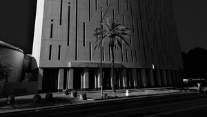 Preview wallpaper building, architecture, palm tree, road, black and white