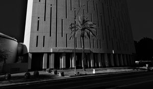 Preview wallpaper building, architecture, palm tree, road, black and white