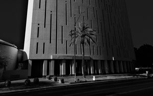 Preview wallpaper building, architecture, palm tree, road, black and white