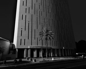 Preview wallpaper building, architecture, palm tree, road, black and white