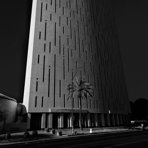 Preview wallpaper building, architecture, palm tree, road, black and white