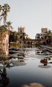Preview wallpaper building, architecture, palm trees, pool, reflection