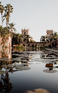 Preview wallpaper building, architecture, palm trees, pool, reflection