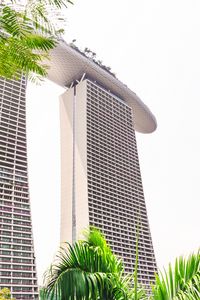 Preview wallpaper building, architecture, skyscraper, palm trees