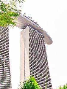 Preview wallpaper building, architecture, skyscraper, palm trees