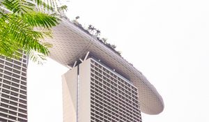Preview wallpaper building, architecture, skyscraper, palm trees