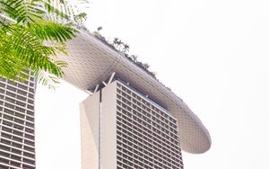 Preview wallpaper building, architecture, skyscraper, palm trees