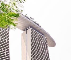 Preview wallpaper building, architecture, skyscraper, palm trees