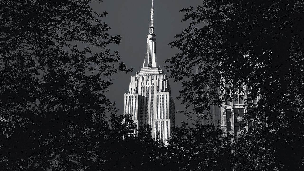 Wallpaper building, architecture, tree, leaves, black and white