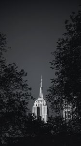 Preview wallpaper building, architecture, tree, leaves, black and white