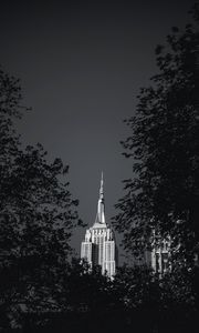 Preview wallpaper building, architecture, tree, leaves, black and white