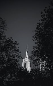 Preview wallpaper building, architecture, tree, leaves, black and white
