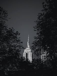 Preview wallpaper building, architecture, tree, leaves, black and white