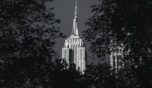 Preview wallpaper building, architecture, tree, leaves, black and white