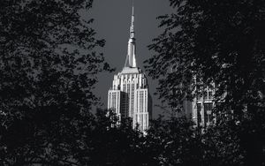 Preview wallpaper building, architecture, tree, leaves, black and white