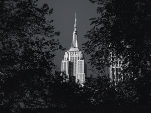 Preview wallpaper building, architecture, tree, leaves, black and white