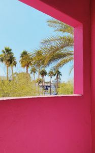 Preview wallpaper building, architecture, window, palm trees, tropics, pink