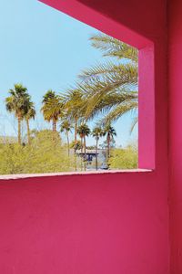 Preview wallpaper building, architecture, window, palm trees, tropics, pink