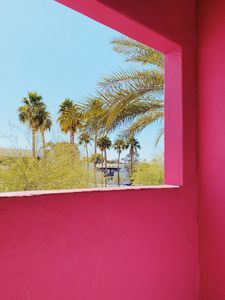 Preview wallpaper building, architecture, window, palm trees, tropics, pink
