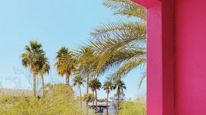 Preview wallpaper building, architecture, window, palm trees, tropics, pink