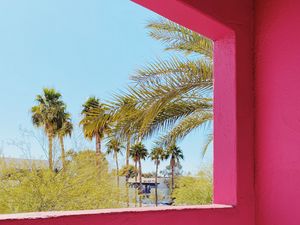 Preview wallpaper building, architecture, window, palm trees, tropics, pink