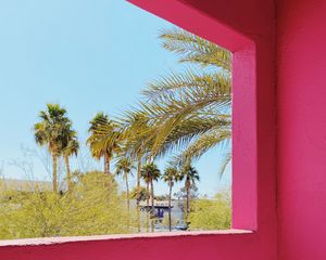 Preview wallpaper building, architecture, window, palm trees, tropics, pink