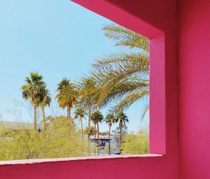 Preview wallpaper building, architecture, window, palm trees, tropics, pink